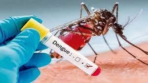 Dengue Case In MP