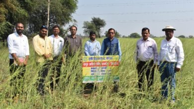 Indira Gandhi Agricultural University