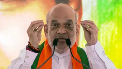 Amit Shah Fake Video