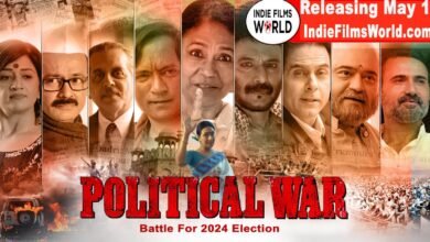 Political War